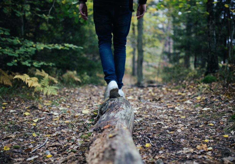 Ein Mann balanciert auf einem Baumstamm im Wald.